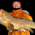 アコウ釣りのプロが教える効果的な釣り方とは？