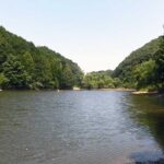 「円良田湖での釣果大公開！ヘラブナ釣りの楽しみ方」