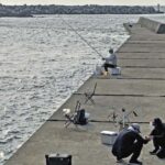 千葉の相浜港で楽しむフカセ釣りの醍醐味【釣りブログ】