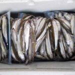 群馬の冬の定番!赤城大沼で楽しむボートワカサギ釣りの魅力とは?