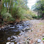 栃木の武茂川での渓流釣りが人気急上昇！