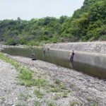 「荒川アユ友釣りの解禁日!一人平均20尾前後の釣果とは?」