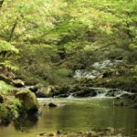 「山梨の名所、日川での釣り初心者のためのアドバイス」