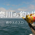 「神奈川県の釣りスポットを徹底解説!おすすめのポイント5選」