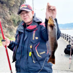 和歌山・大川漁港での週間投げ釣り情報！大型アブラメが44センチも！