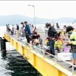 宮津の海洋つり場で魅了される豊富な漁獲物の魅力