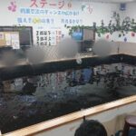 家族でも楽しめる!屋内釣り堀『つり大陸』での最新人気イベント紹介