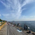 ルアー釣り好きにおすすめ!横須賀市海辺つり公園でのカワハギ釣り情報