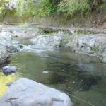 山梨の秋山川で楽しむ渓流釣りの魅力とポイント紹介