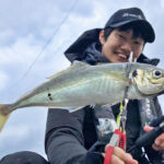 「千葉の良型アジを手に入れろ！ウキ釣りで6尾をゲット」