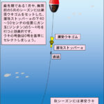 3.「堤防釣りのプロが教える、遊動ウキ仕掛けの使い方とコツ」