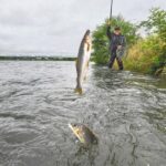 夏の風物詩、アユ釣りの解禁!心待ちにしていた釣り好きが集結