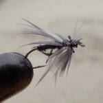 テンカラ釣り初心者必見！清流でのイワナ狙い体験会レポート