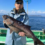 東京湾口でのクロムツ釣りで本命2ケタ釣果に興奮！豊富なダブルヒットも多数