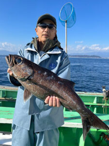 東京湾口でのクロムツ釣りで本命2ケタ釣果に興奮！豊富なダブルヒットも多数