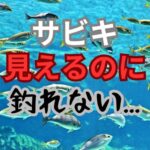 サビキ釣りでの失敗を見直して、釣果を上げるためのポイントとは?
