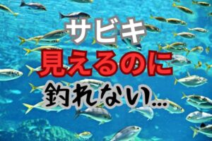 サビキ釣りでの失敗を見直して、釣果を上げるためのポイントとは?
