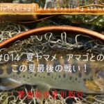 古希ジイが追う「一里一匹」の夏ヤマメとは?