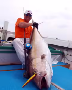 陸っぱりライトルアー釣りで20cm級ショゴ（カンパチ）が入れ食い！南伊豆の穴場スポットを紹介