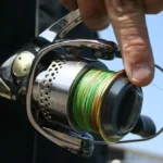 ルアー釣り初心者必見！ラインの選び方と特徴とは？