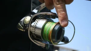 ルアー釣り初心者必見!ラインの選び方と特徴とは?