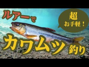 楽しい夏の思い出作りにピッタリ!川でのカワムツ釣りのススメ