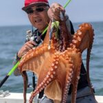 大阪湾奥でのタコ釣りは絶好調!成功のポイントとは?