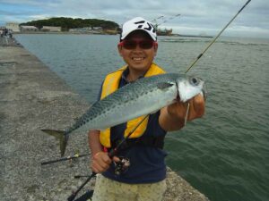 浅虫海づり公園で親子が楽しむ釣り体験!爆釣必至の秘訣は?