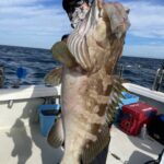 船釣り釣果速報: 佐賀の海で10kg級クエを釣り上げた興奮の瞬間