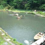 八王子市の人気釣りスポット！親切なスタッフが魅力の浅川国際鱒釣場