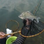 第44回ヘラブナ釣り大会がみどり湖で盛大に開催!