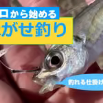 あなたも釣れる!泳がせ釣りで大物を狙う方法