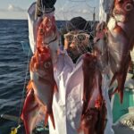 釣行記録：愛正丸で挑むアジからキンメまでの釣り体験