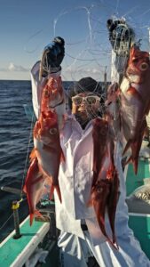 釣行記録:愛正丸で挑むアジからキンメまでの釣り体験