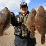 北陸路沿いで見られる良型カレイの釣果に釣り人たちが賑わう