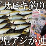 愛知・師崎港のサビキ釣りでアジが大漁!2時間で釣り上げた50匹の秘訣