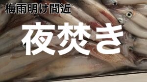 イカ釣り好き必見！福岡の明生丸で体験できる胴突き仕掛けの夜焚きイカ釣り