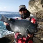 海苔エサを使ってメジナを釣ろう！釣り場で手軽に調達できる新感覚のエサとは？