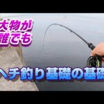 ヘチ釣り初心者必見!壁際釣りのコツと楽しみ方
