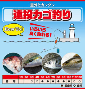 「南側カゴ釣りで大漁!須崎の沖磯で釣果満載」