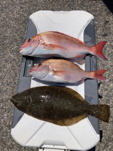 マダイ狙いのひとつテンヤ釣り入門：初心者必見の完全ガイド