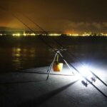 驚きの夜釣り!サメとアナゴが狙える釣りの魅力