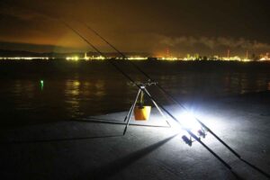 驚きの夜釣り!サメとアナゴが狙える釣りの魅力