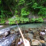 夏の山の中で感じる涼やかな渓流釣りの魅力