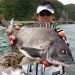 新潟のクロダイ最新情報!30~45センチの釣果を探る