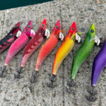 山陰の釣果情報を徹底解剖！エギングフェスタで人気のアオリイカエリア