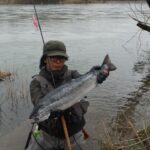 釣果じまん：米代川のサクラマスを狙え！