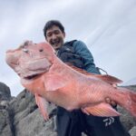 釣りファン必見！愛知での70cmカンダイ（コブダイ）釣りの魅力